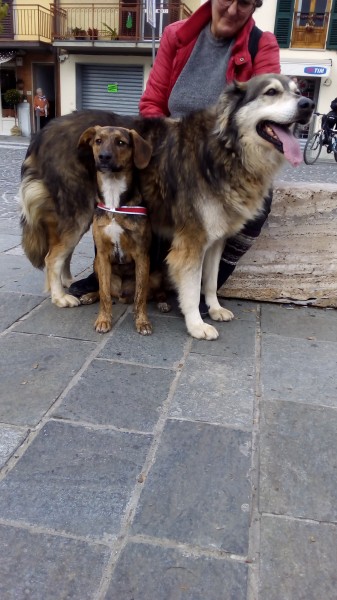 Orso con Giotto